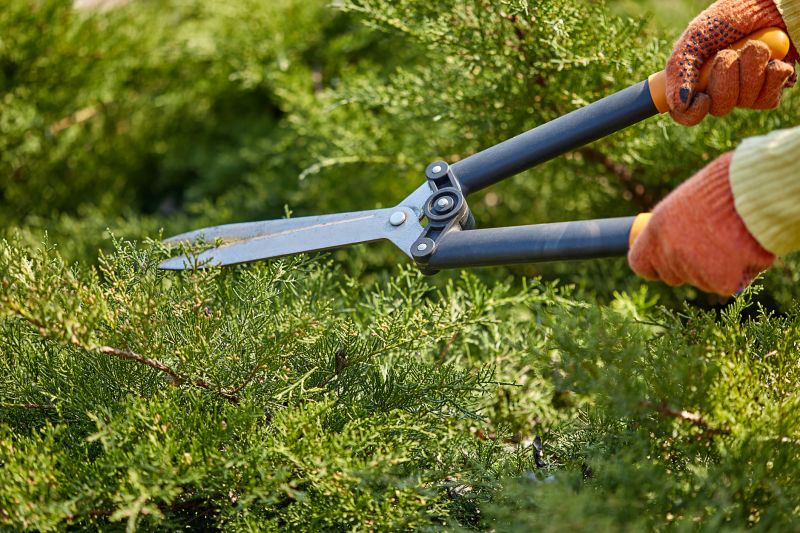Tools for Shrub Trimming