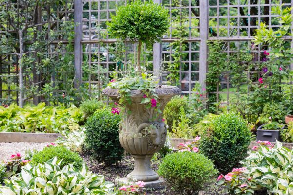 Topiary Pruning in Antioch