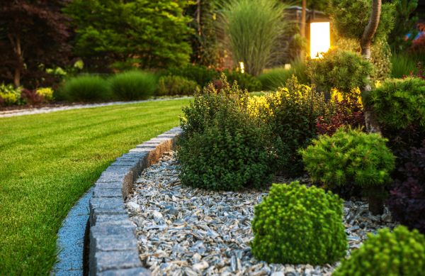 Cost of Bush Relocation in Antioch